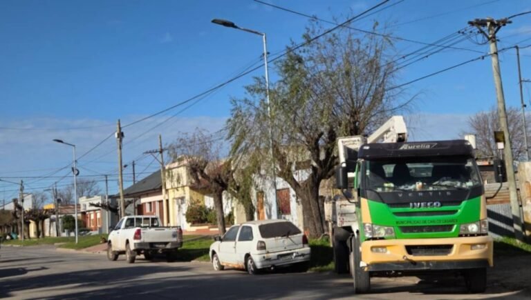 Repararon y reemplazaron luminarias en un tramo de la calle Lavalle