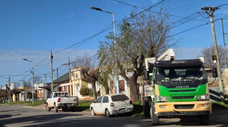Repararon y reemplazaron luminarias en un tramo de la calle Lavalle