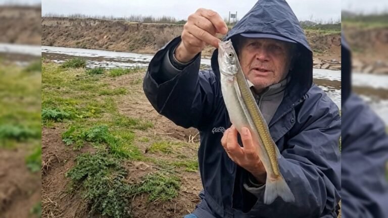 Buena pesca de pejerreyes y dientudos en el vertedero de la laguna de Bragado