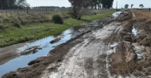 El 79% de los productores calificó como malas o muy malas las condiciones de los caminos rurales