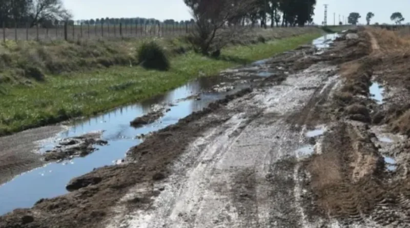 El 79% de los productores calificó como malas o muy malas las condiciones de los caminos rurales